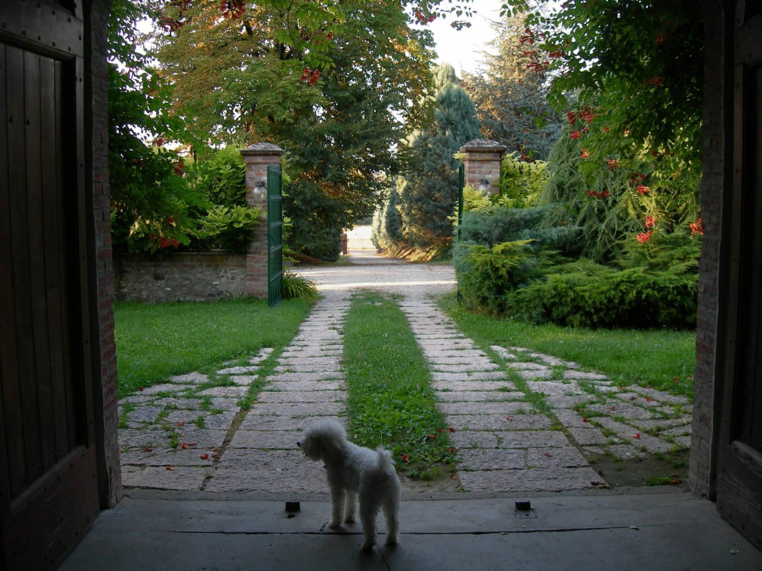 Tenuta Terensano Monleale Exterior photo