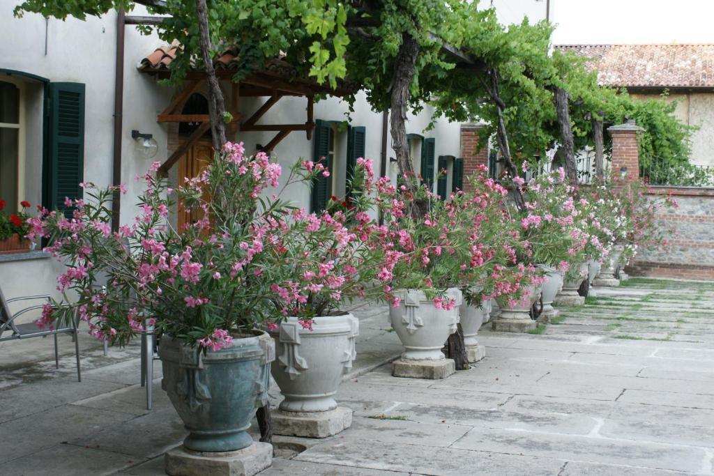 Tenuta Terensano Monleale Exterior photo