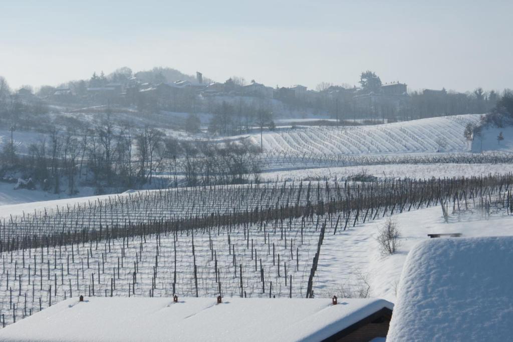 Tenuta Terensano Monleale Exterior photo