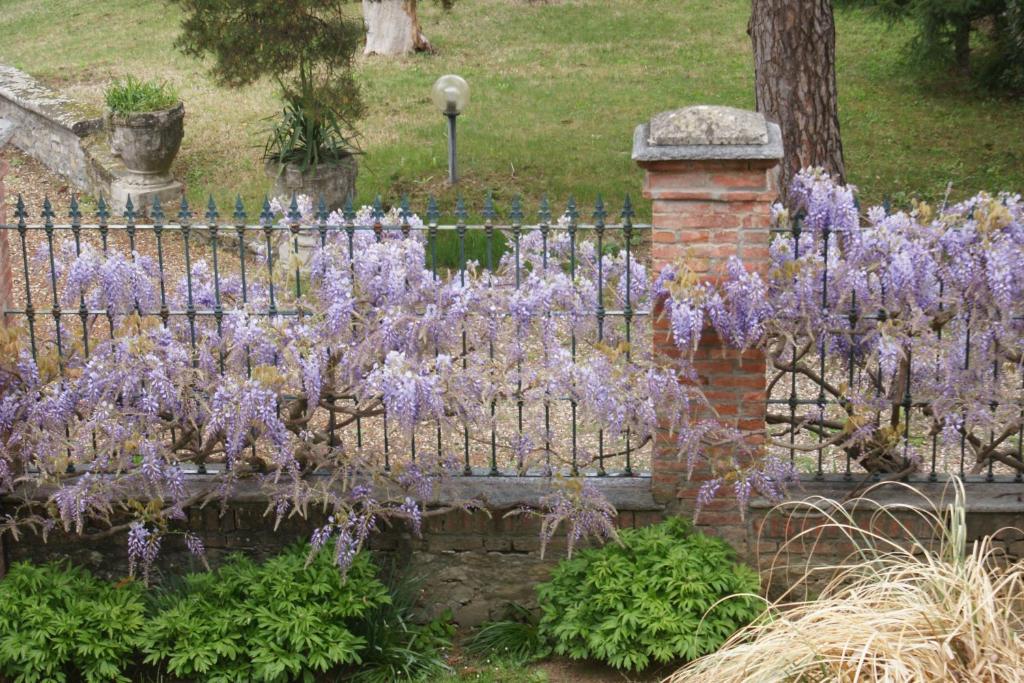 Tenuta Terensano Monleale Exterior photo